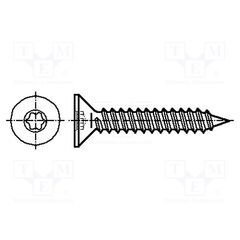 B2.9X13/BN11255, ВИНТ; ДЛЯ МЕТАЛЛА; 2,9X13; ГОЛОВКА: ПОТАЙНАЯ; TORX®; TX10; ЦИНК