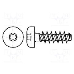 B2X10/BN13265, ВИНТ; ДЛЯ ТЕРМОПЛАСТОВ; 2X10; ГОЛОВКА: ЦИЛИНДРИЧЕСКАЯ; TORX® PLUS